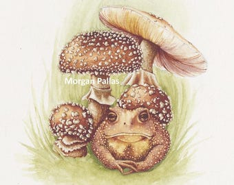Amanita pantherina met Amerikaanse pad - gesigneerde limited edition fine-art reproductie giclée