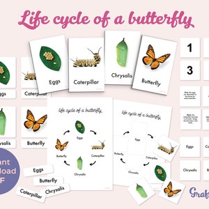 Cycle de vie Montessori d'un papillon / cartes numériques en 3 parties / enseignement à domicile / images réelles / imprimables pour les enfants / jouer et apprendre / PDF
