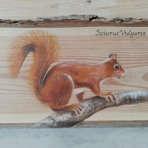 Könnte beinhalten: Ein Gemälde eines roten Eichhörnchens auf einem Ast, mit dem Text "Sciurus Vulgaris" darüber. Das Eichhörnchen ist in einem realistischen Stil auf einem Holzgrund gemalt.