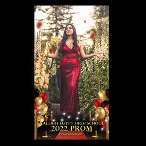Hollywood Red Carpet Theme 360 overlay 1072x1920 Instagram Story Photobooth Filter Template | Overlay for Touchpix, Dzentech, etc