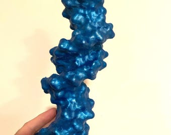 DNA Double Helix Model, Hand Painted Blue Sculpture, Genetics Gift, Biology Decor