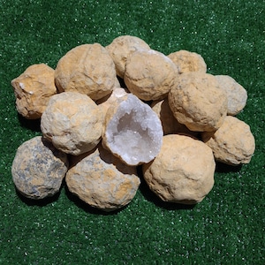 Peut inclure: Un amas de roches géodes rondes de couleur beige avec des extérieurs rugueux et texturés. Une géode centrale est ouverte pour révéler un intérieur creux rempli de petits cristaux de quartz blanc translucides et étincelants, contrastant avec la coque.