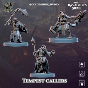 Tempest Callers by Golden Thief Studios | Painted |