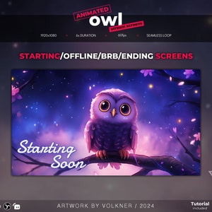 Könnte beinhalten: Animierter Stream-Bildschirm mit einer lilafarbenen Cartoon-Eule mit großen Augen, die auf einem Ast mit rosa Blüten sitzt. Der Hintergrund ist dunkelblau mit weißen Sternen und rosa Wolken. Der Text "Starting Soon" ist in weißer Kursivschrift geschrieben.