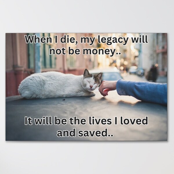 Animal Rescue Cat Etsy