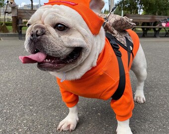 the black dog sweatshirt sale