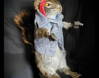 Real Taxidermy Squirrel Gang Member Taxidermy Oddity and Curiousity