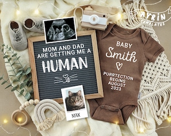 Cat Pregnancy Announcement, Social Media Reveal (Digital File)