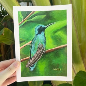 Hummingbird-Fine Art Print