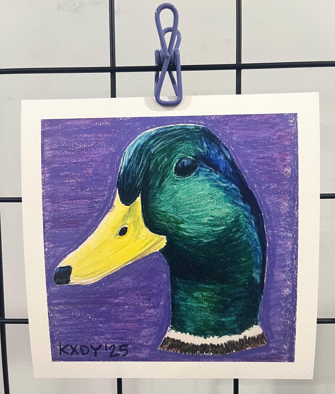 Mallard Duck - Fine Art Print - Etsy