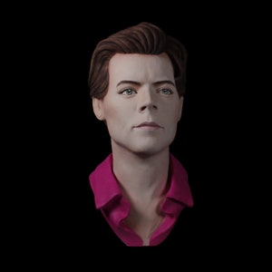 Harry Styles - Scultura busto dipinta a mano