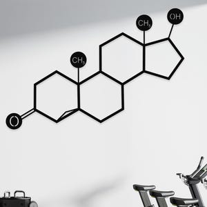 Testosterone Molecule Metal Wall Art: Gym Decor, Chemistry Art