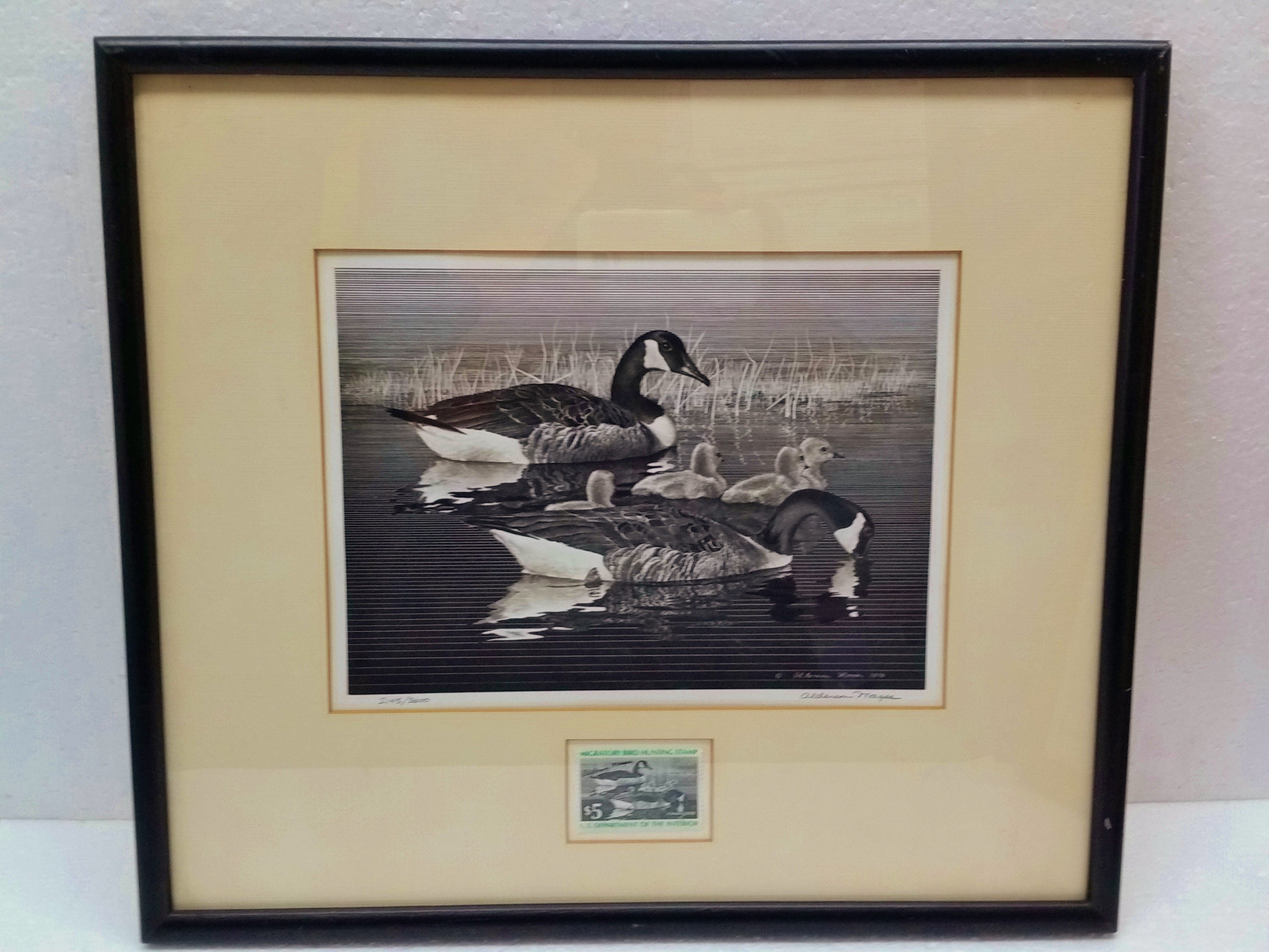 Alderson Magee Signed Ltd Edition Canada Goose India Ink Scratchboard