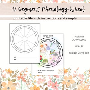 Phenology Wheel Template | Nature Study | Nature Journal | Instant Download