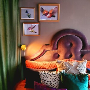 Hummingbirds, Birds of a feather, Flying free, soaring high, freedom, Colorful