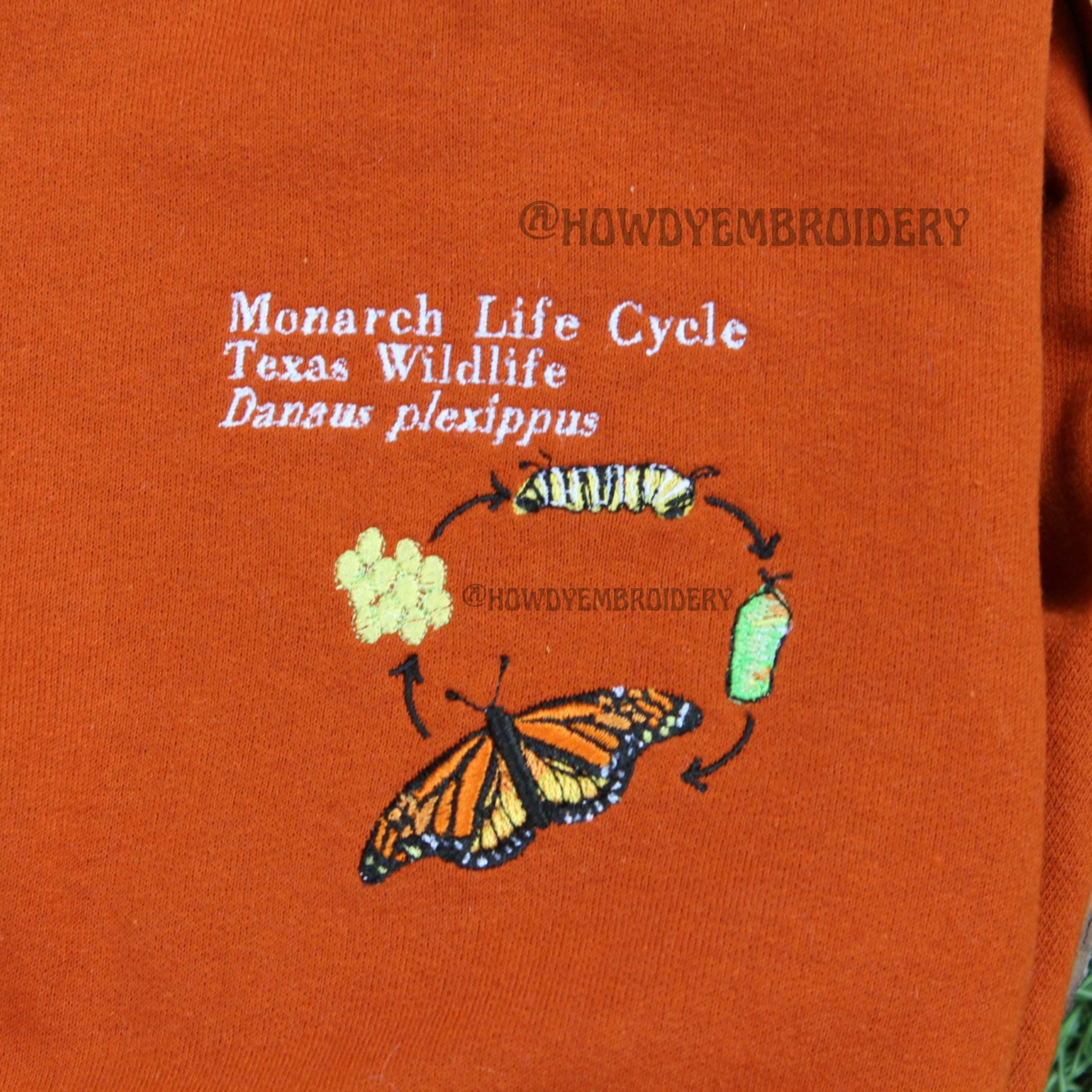Embroidered Monarch Butterfly Life Cycle Sweatshirt Embroidered
