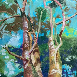 Original Pastel Painting &#39;Scots Pines in Yearsley Woods’