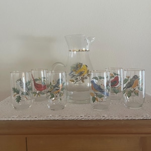 West Virginia Glass American Songbirds Pitcher Glass Set