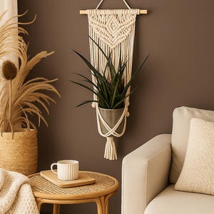Macrame Plant Hanger | Customize Colors | Retro Vibe Decor for plant lovers, plant holder, woven plant holder, boho plant hanger