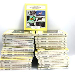 Lot 41 Books - I Discover the Wonderful World of French Animals