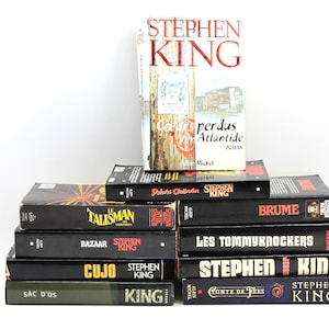 Lot 10 Books Books Stephen King Mixed Large Format Horror Thriller French #2