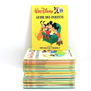 Lot of 19 Books - Disney I Learn While Having Fun Complete Set French