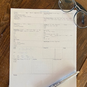 ICU Nurse Report Sheet - Double sided/2 patient PDF