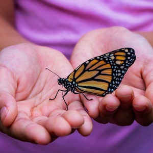 Spiritual transformation