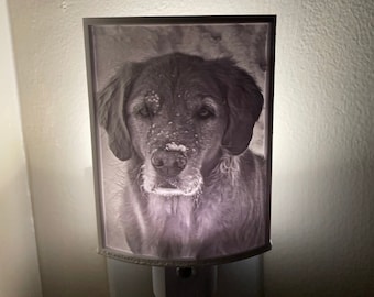 Photo Night Light Custom 3D Printed .  Personalized, Beautiful Gift For Any Occasion