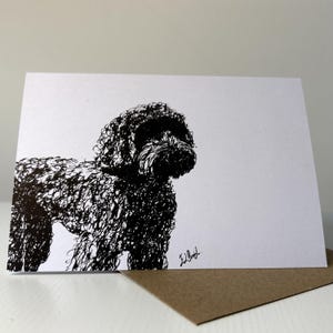 Könnte beinhalten: Eine rechteckige weiße Grußkarte mit einer schwarzen Tuschezeichnung eines lockigen Hundes. Die Illustration verwendet dichte, gekritzelte Linien, um die Textur und Form des Hundes darzustellen. Eine handschriftliche Signatur ist unten rechts.