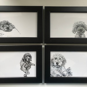 Hand drawn dog postcards (pack of 4 designs) - set 2