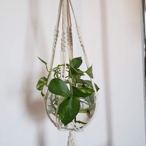 May include: A macrame plant hanger in natural off-white cotton holds a clear glass globe with green leafy plants. The hanger is suspended from a metal ring and has a tassel at the bottom. The background is a white wall and a metal clothing rack.