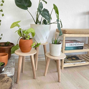 Può includere: Tre portavasi in legno, ognuno con tre gambe, che sostengono tre piante in vaso. I portavasi sono in legno chiaro. Le piante sono una grande pianta verde a foglie larghe in un vaso bianco, una pianta verde a foglie più piccole in un vaso di terracotta e una succulenta in un vaso bianco. I portavasi sono su un pavimento in legno chiaro. Lo sfondo include una parete bianca, un cesto intrecciato e una libreria con libri e riviste.