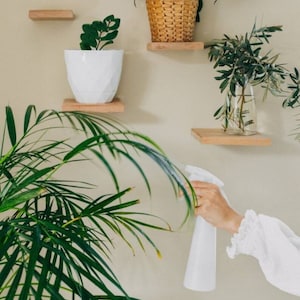 Wall Shelf, Wall Shelves, Plant Shelf, Floating Shelf, Floating Plant Shelves, Wood Wall Shelf, Wall Decor