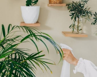 Wall Shelf, Wall Shelves, Plant Shelf, Floating Shelf, Floating Plant Shelves, Wood Wall Shelf, Wall Decor