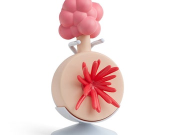 Plumbus Instrument Plumbus Manual - Etsy