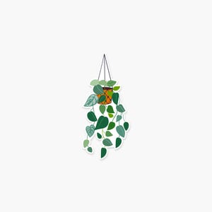 Hanging Pothos Plant 1.5 x 3.5 in - Plant Sticker