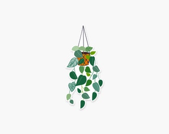 Hanging Pothos Plant 1.5 x 3.5 in - Plant Sticker