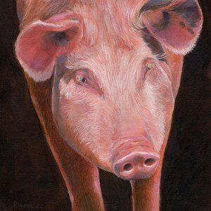 Pig original oil painting, original artwork, wall art, animal wall art, farm animal, pig art, hand painted