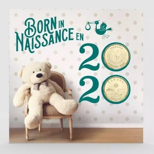 Può includere: Un orsacchiotto bianco seduto su una sedia davanti a un muro con un motivo a pois bianchi. Il muro ha anche le parole "Born in Naissance en 2020" scritte in verde. Ci sono due monete canadesi d'oro sul muro.