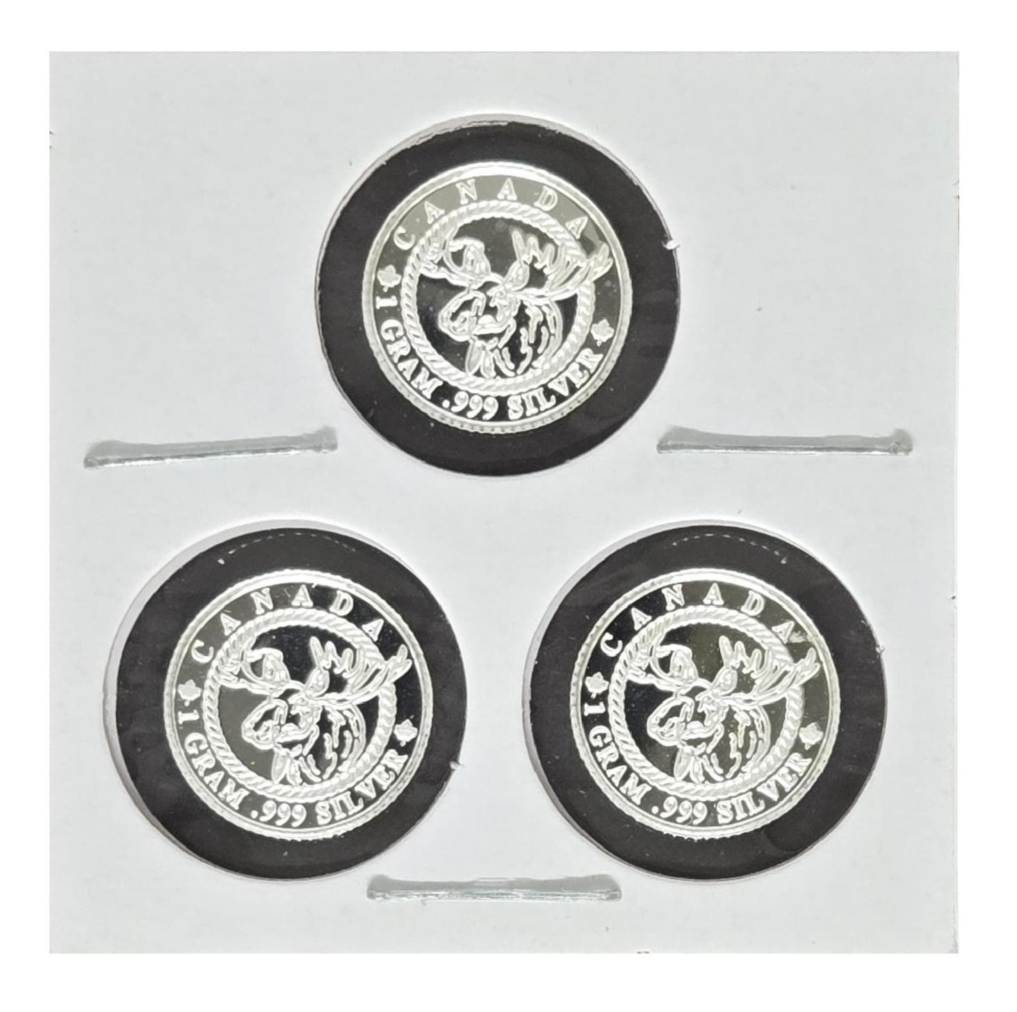 Canada Moose AMX - 3 X 1g Gram Fine Silver Rounds!! - Etsy