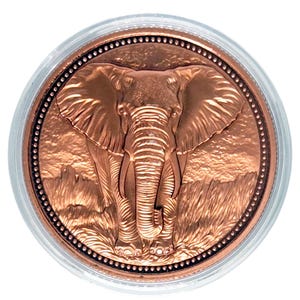 May include: A copper-coloured coin depicting a detailed relief of an elephant. The elephant is facing forward, with large ears, tusks, and a long trunk. The coin is encased in a clear plastic holder, with a dotted border around the elephant image.