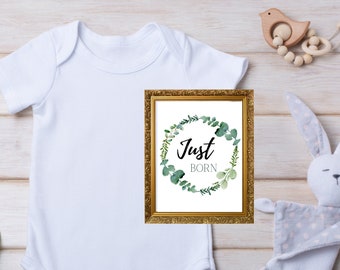Newborn Month Milestone Cards, baby girl, baby boy, eucalyptus, greenery, printable, 4x6 cards, newborn