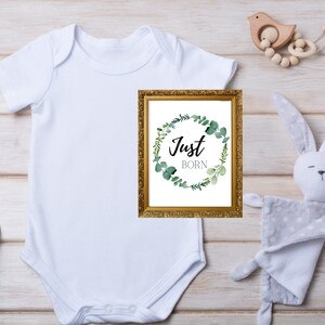 Cartes d'étape du mois du nouveau-né, petite fille, petit garçon, eucalyptus, verdure, imprimable, cartes 4 x 6, nouveau-né