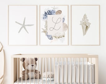 Nautical Nursery Art, Sea Shell Decor, Set of 3 Prints (Digital Download)