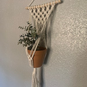 Macrame Plant Wall Hanging