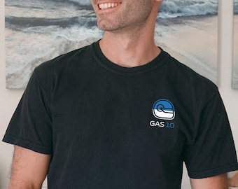 Pierre Gasly Shirt, Gasly Tshirt, Gasly Formula 1 Shirt, f1 Merch, F1 Racing Shirt, F1 Gift, Formula 1 Shirt, Formula 1 gift, Alpine Racing