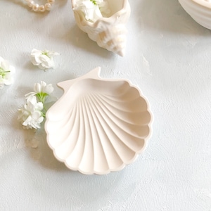 May include: A white ceramic seashell dish with a ribbed texture. The dish is perfect for holding small items like jewelry or trinkets.
