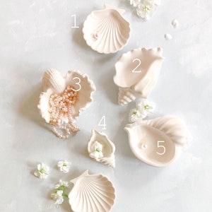 May include: A collection of five off-white seashell-shaped trinket dishes, each with a unique design. Some hold small pearls or white flowers. The dishes are arranged on a light blue surface, with scattered white flowers.