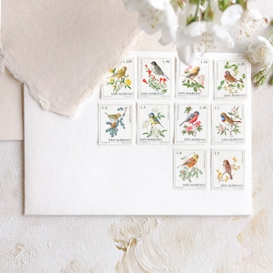 10 Sellos Vintage Pretty Birds Set ~ Fotografía de bodas de bellas artes Kit de accesorios de estilo Flatlay Antiguo Barroco Renacimiento Estilo Light Atelier